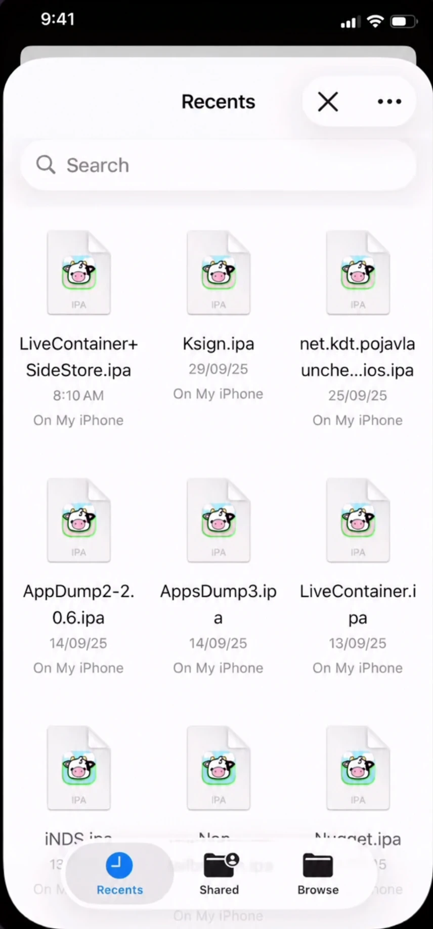 iOS file picker for selecting an IPA in AltStore