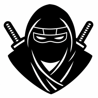 Delta iOS ninja logo